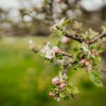 韩国理论99PE热免费 fo8ad